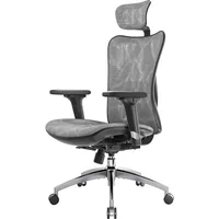 M57 Ergonomic Office Chair with 3 Way Armrests Lumbar Support and Adjustable Headrest High Back Tilt Function Grey 1