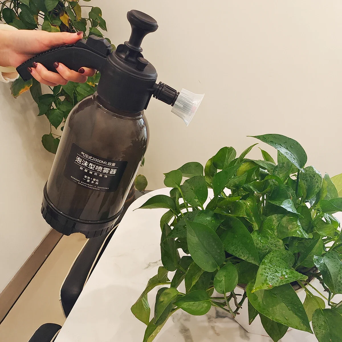 ���� ��ǰ �������� �� ���� �ڵ� ��������, ���� ����, 2L ���� �������� ���, ���� �޼� ��������