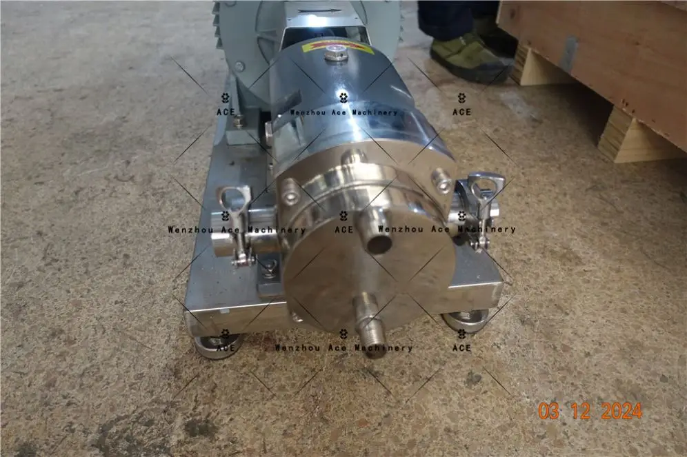 Rotor Pump Asphalt,Grease,Lubricating Oil Ect Delivery Internal Gear Pump