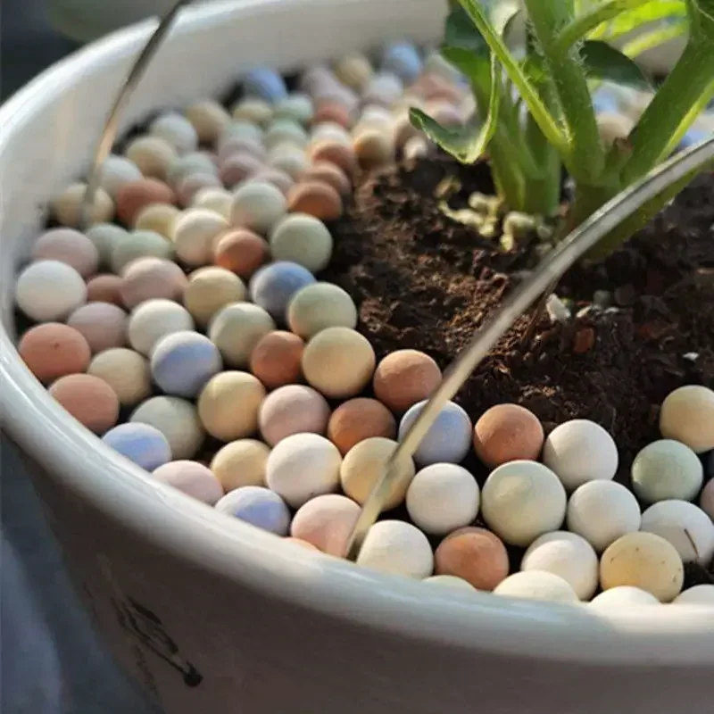 500g Organic Light Large Ceramsite Organic Clay Pebbles Grow Media Orchids Hydroponics Aquaculture Garden Flowers Planting