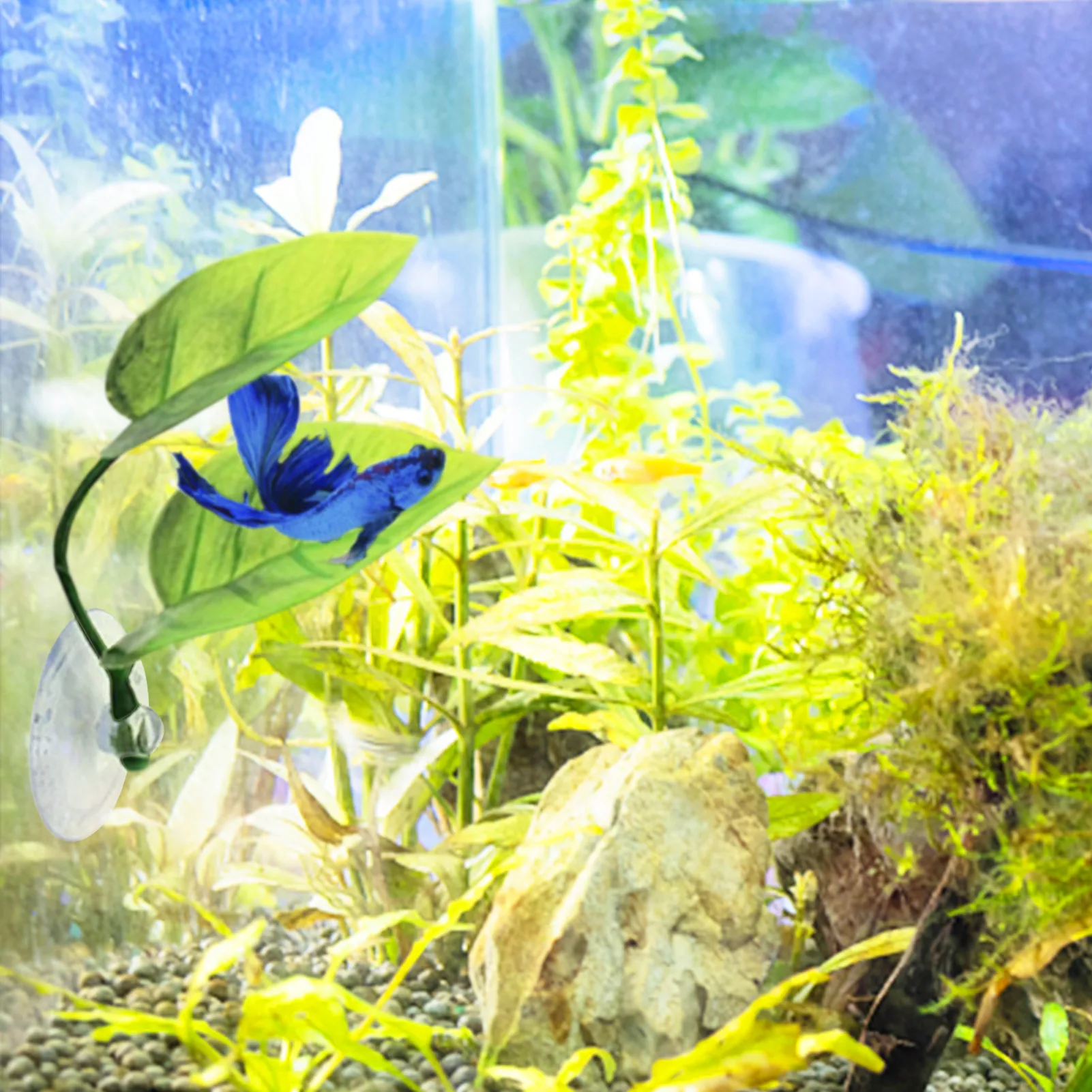 Betta Bed Leaf Hammock Aquarium Pet Supplies Decoration Grounds Breeding Resting Bed For Betta Fish Fish Practical