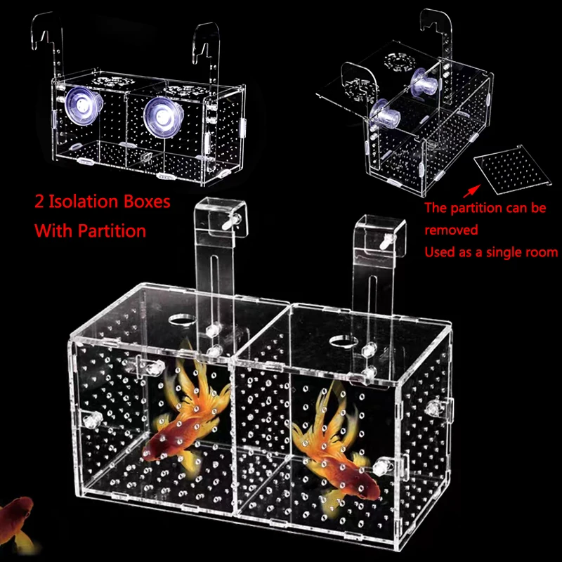 Acrylic Transparent Ornamental Betta Fish Isolation Boxes Wall-mounted Adsorption Incubator box Aquarium Breeding Fish Tank fish breeding box