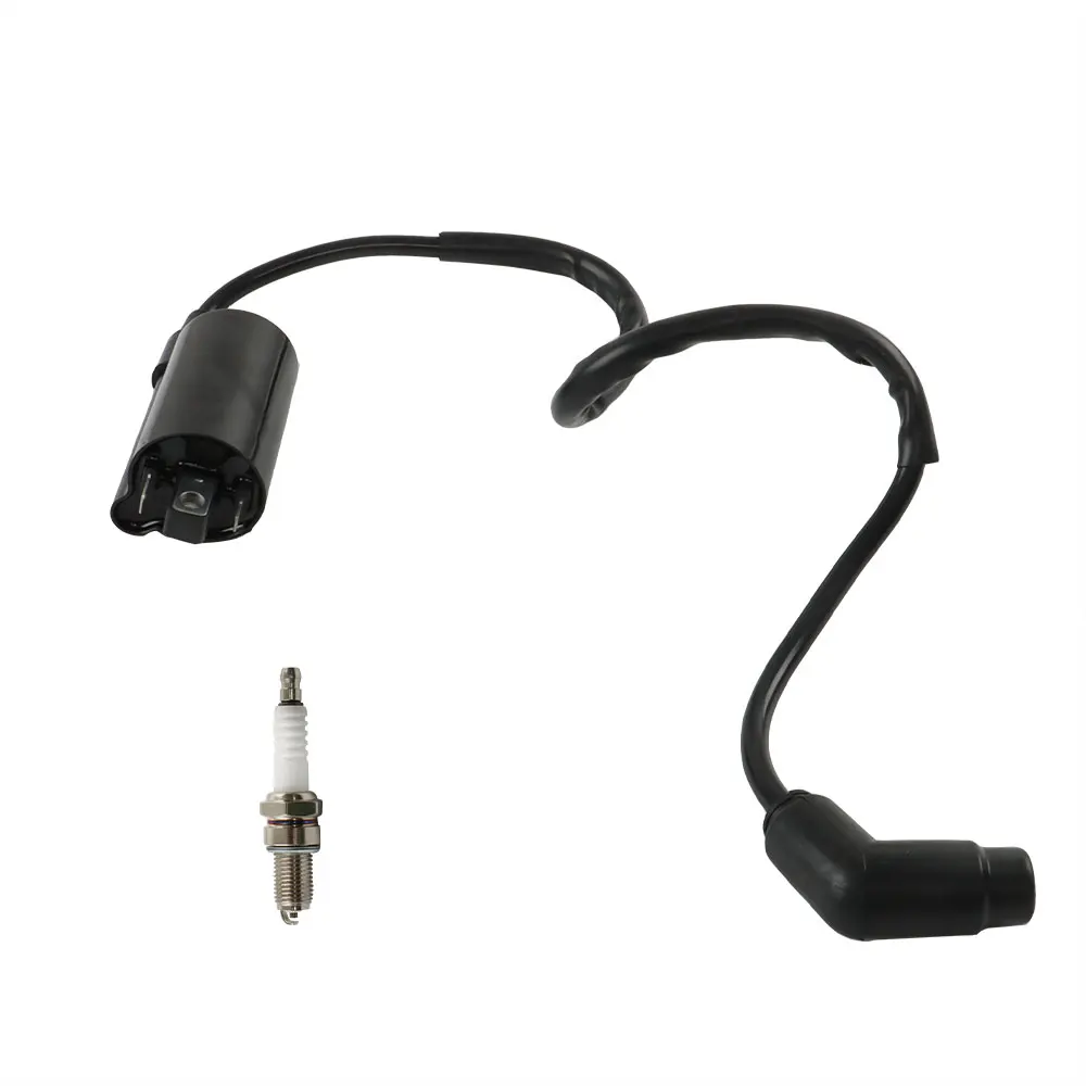 Рисунок 4 - Катушка зажигания и Свеча зажигания