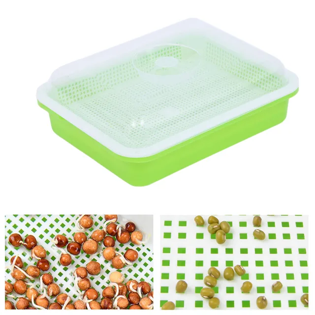 Sprout Dish Growing Pot: Nutritious and Convenient Planting Solution