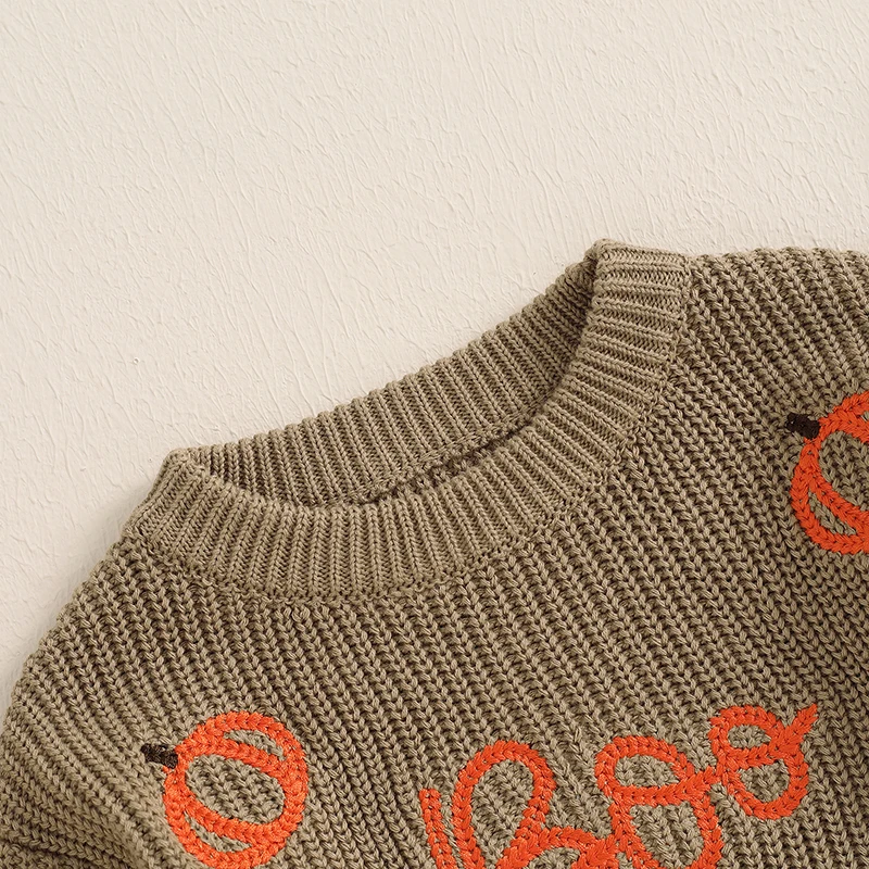 Focus norm 0-3y schöne Jungen Jungen Mädchen Halloween Pullover Langarm Rundhals ausschnitt Kürbis Stickerei Pullover Strick Herbst Tops – Detail 19