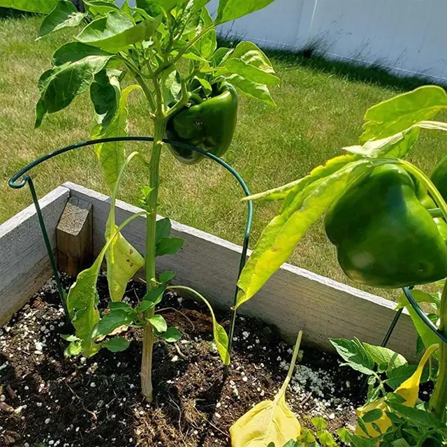 1/6 db Növényi Tartó Tétgyűrű Gyűrű Ketrec Kerti Növény Tételt Bazsarózsa Paradicsom Zöldség Rózsa Virág Szőlő - Image 3