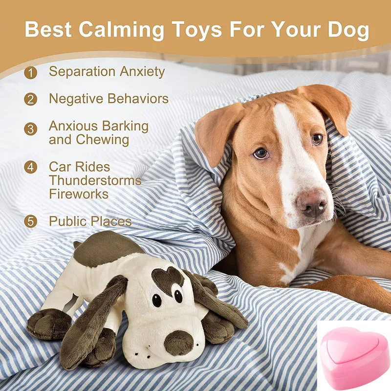 Separation What Can I Give My Dog For Anxiety Anti Anxiety Dog