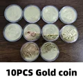 10PCS Gold