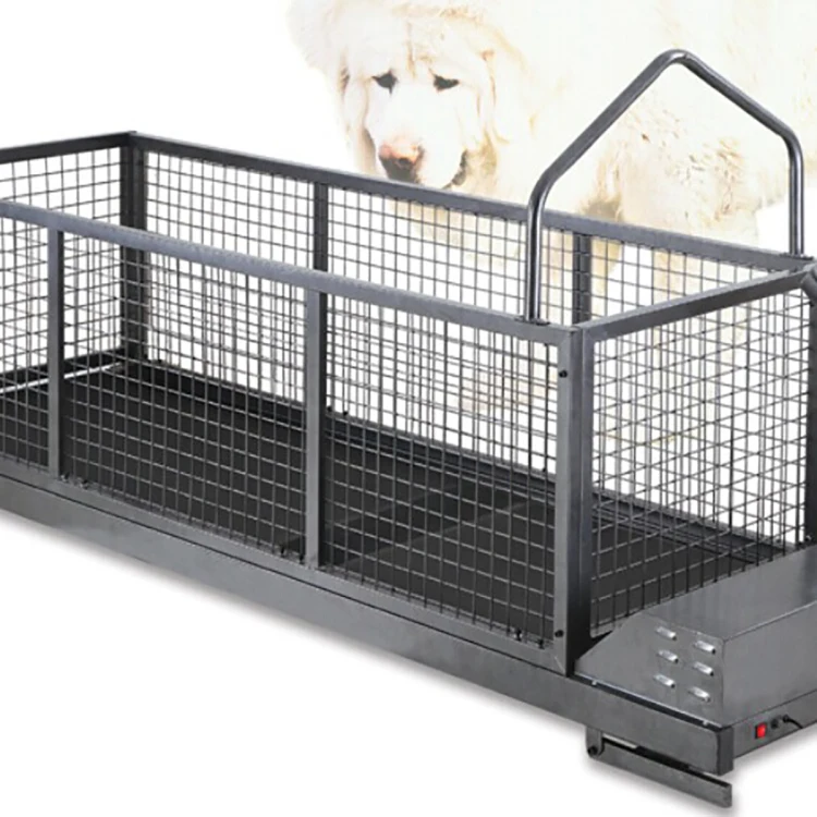 Longermay Dog Treadmill Large Dog Resistance Treadmill For Pets