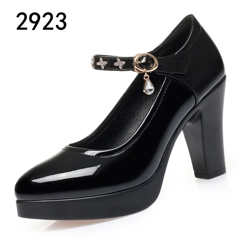 2024 New Fashion Platform High Heels Women Round Toe Black Pu Leather Square Heel Pumps for Party Dress Lady Shoes Zapatos Mujer 4