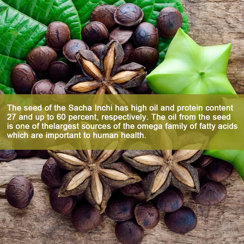 Organic Sacha Inchi Oil 1000mg Rich Source Omega 3-6-9 Essential Fatty Acids Odorless Source Ala elongates DHA EPA