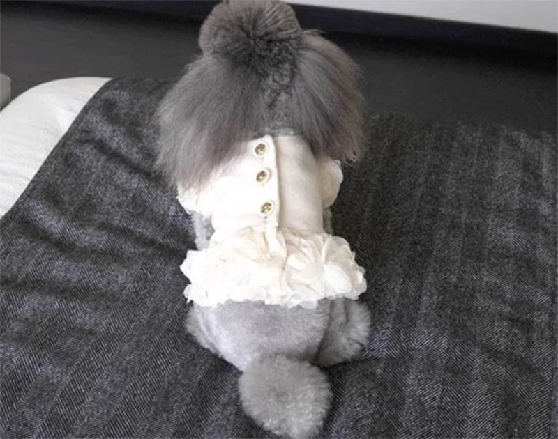 

Puppy Cat Dog Clothes Winter Dog Dress Thick Warm Pet Clothing Coat Poodle Schnauzer Pomeranian Yorkshire Maltese Bichon Costume