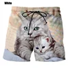 New Fashion Cute Cat Graphic Board Shorts For Men 3D Printed Casual Unisex Funny Animal Beach Swimming Shorts Men Trunks 2