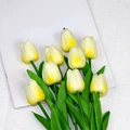 Image 16