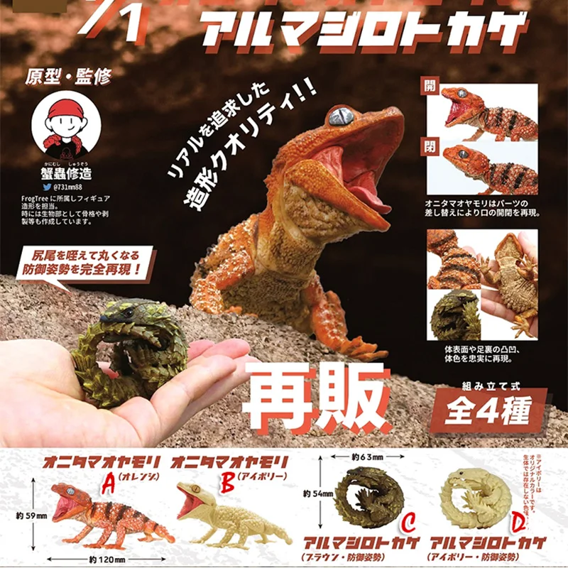 

SO-TA Gashapon Capsule Toys Insect Creature Kawaii 1/1 Movable Lizard Armadillo Models Cute Action Figure for Kids Gift