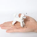 Poodle-2