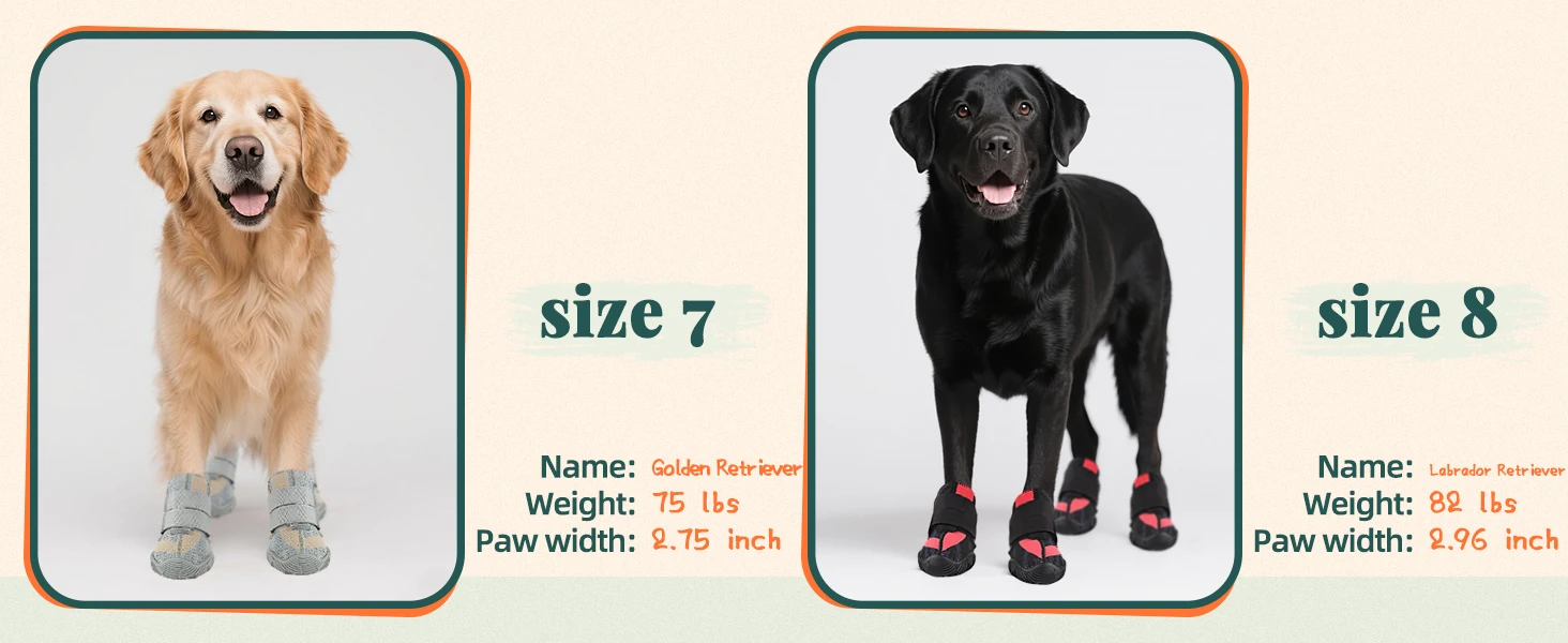 dog winter boots