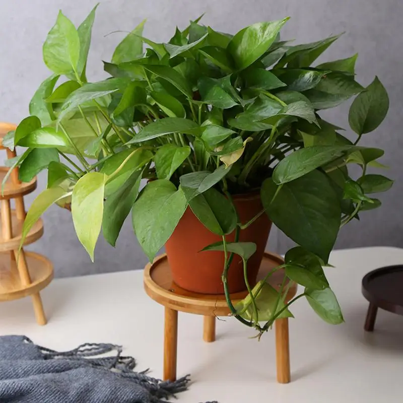 Wooden Stand For Indoor Plant Round High Stool Modern For Living Room Decorative Wooden Side Table Bonsai Holder plant stand,wooden flower shelf