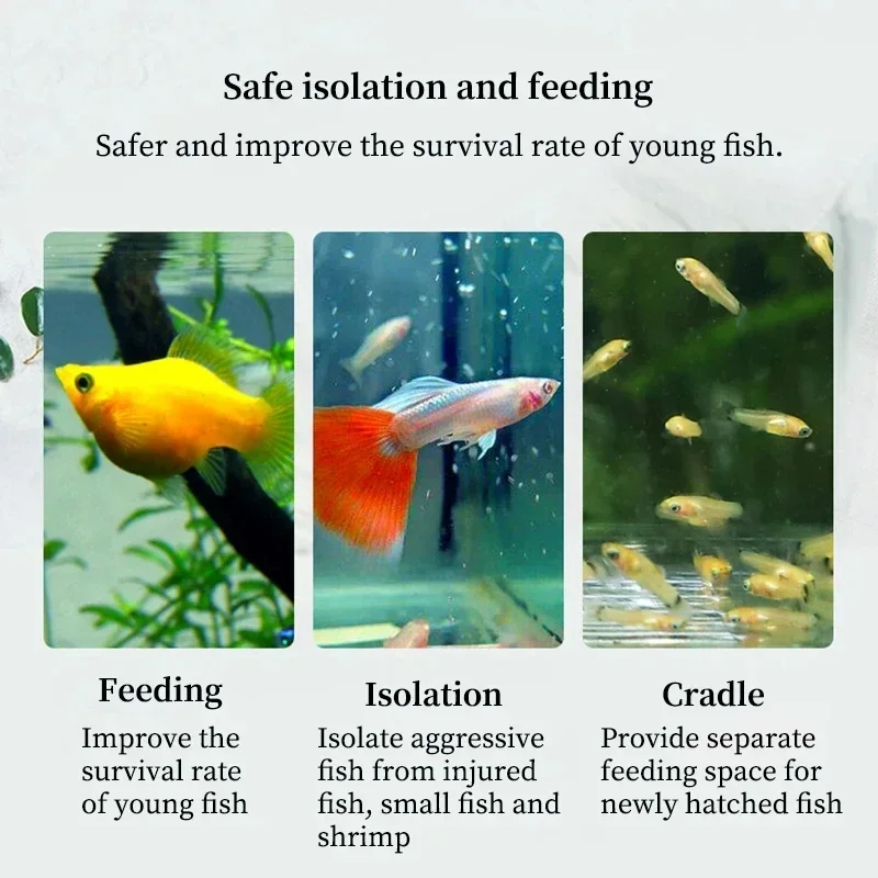 Floating Fish Tank Acrylic Guppy Breeding Box Aquarium Incubator Small Fish Birthing Room Suspension Isolation Box Accessories