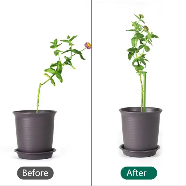 Növénytáblák A Kötés Elleni Nyitó Tartótámogató Növények Formáló Mászó Keret Edényállványa Az Orchidea Számára - Image 3