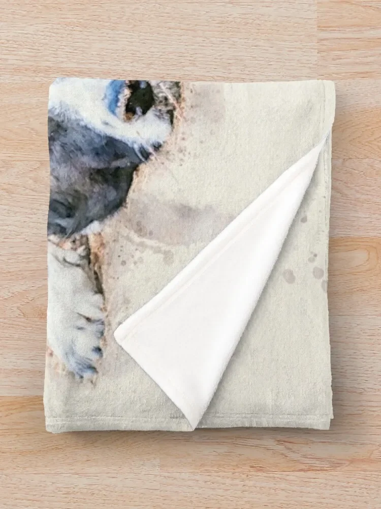 �ٴڿ� ���� �Ϳ��� ���� �ݸ�, ��äȭ ������ ���, ���� ��� ������, ��ġ ��Ƽ�� ���