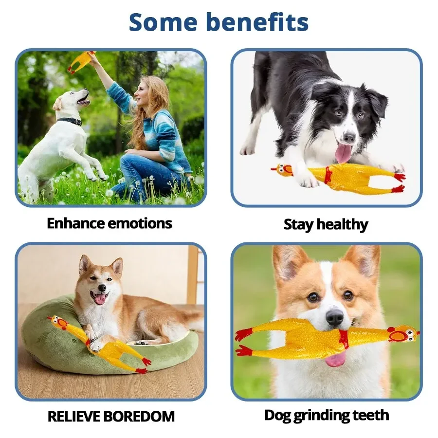 Funny Screaming Chicken Toys, Squeezing Sound, Teeth Grinding, Suitable for Small to Medium Dogs, Pet Products, Home Supplies 6