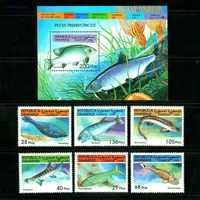 8 PCS Zaire Post Stamps,1980, Tropical Fish Stamps,Animal Stamps,Used with  Post Stamp,Real Original - AliExpress