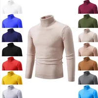 Men's Casual Solid Color High Neck Knitwear Slim Fit Youth Base Layer Shirt Korean Style Spring Autumn Season Casual Wear