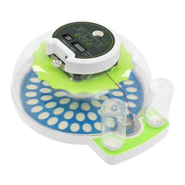 For 60 Quail Eggs Green +Blue Round ABS Quail Egg Incubator Poultry Quail Incubator with LED Screen
