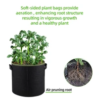 3/4/5/7/10 Gallon Felt Grow Bags Gardening Fabric Grow Pot Vegetable Tomato Growing Planter Garden Potato Planting Pots 5