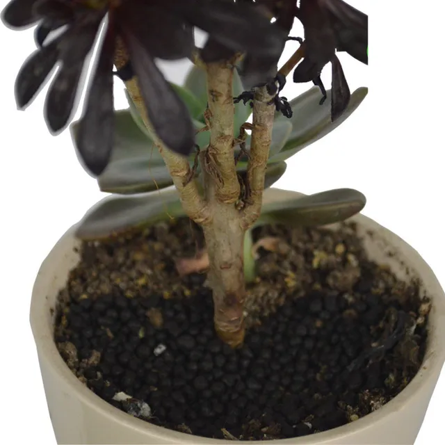 250 G Mikrobiális Szerves Műtrágya Zöld Általános Célú Biztonságos És Szennyezés Ingyenes, Virágüzem Kerti Bonsai - Image 6