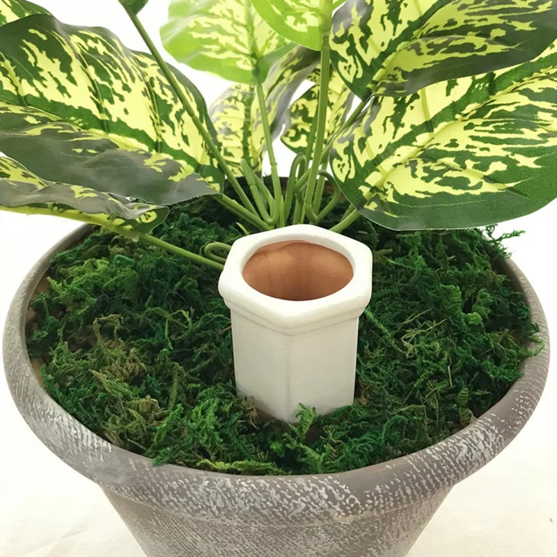 �ڵ� �޼� �׶���Ÿ ������ũ, �Ĺ� ���ֱ�, 10 ��