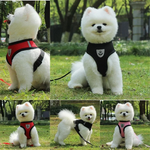 Breathable Mesh Cat Small Dog Harness And Leash Kitten Cats Harnesses Little Dog Puppy Harness For French Bulldog Chihuahua Pug 3 Breathable Mesh Cat Small Dog Harness And Leash Kitten Cats Harnesses Little Dog Puppy Harness For French Bulldog Chihuahua Pug 3