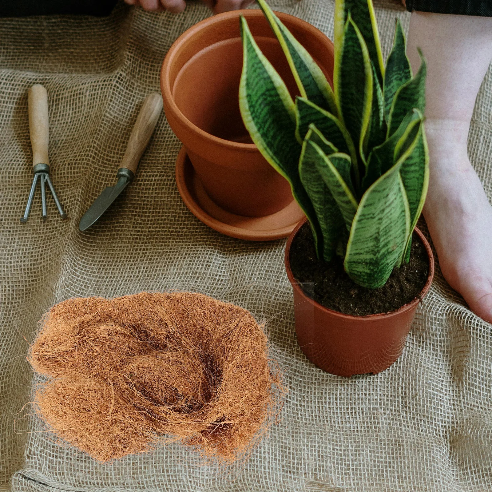 Coconut Fiber Liners Plant Pot Coir Fiber Mulch Flowerpot Mat