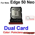 50 Neo-Poinciana-D
