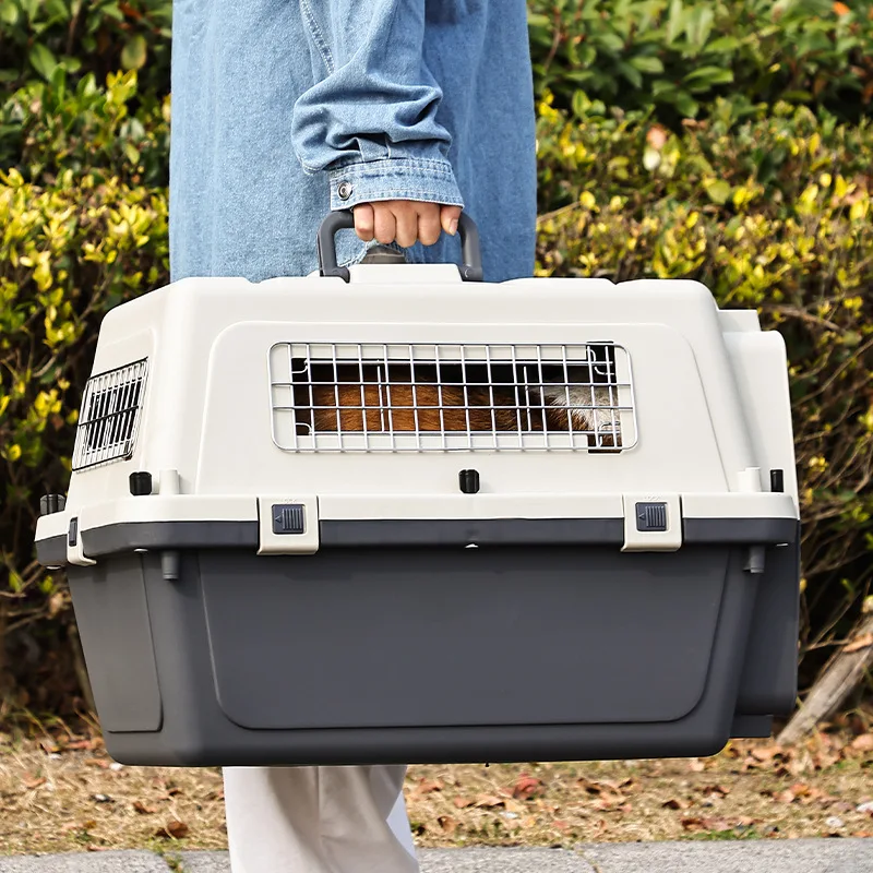 Airline-Approved Rolling Pet Carrier 3