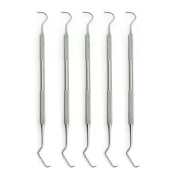 5PCS Double Hook Tooth Dental Explorer Probe Dentist Tool Stainless Steel Dental Tool Teeth Clean Hygiene Explorer Probe hook