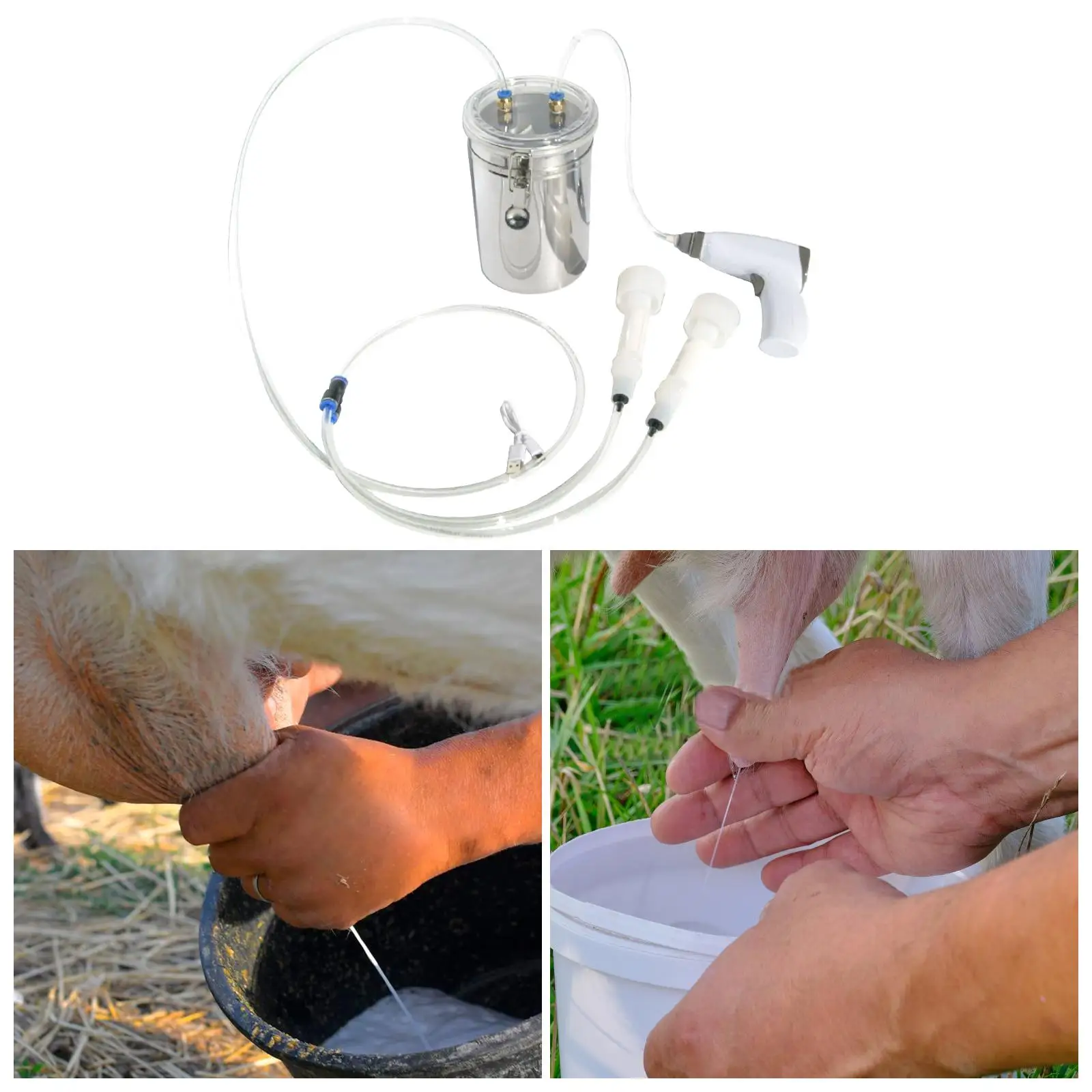 

2L Electric Sheep Milking Machine Kit Transparent Lid for Farm Household