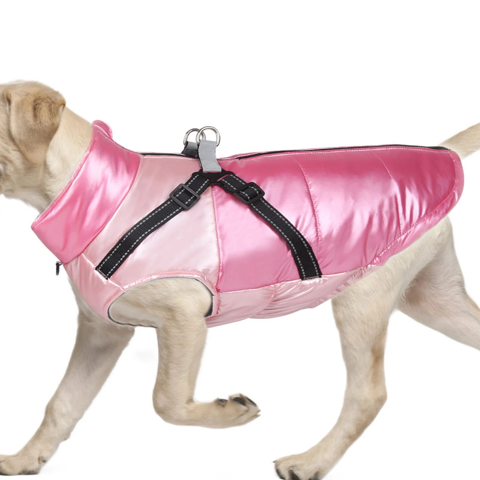 manteau chien hiver avec harnais intégré