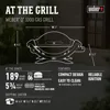 Q1000 Propane Grill, Titanium 2