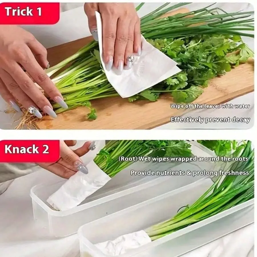 1/2/4PCS Fresh Box Refrigerator Storage Boxes Scallions Food Container with Lid Cold Crisper Sealed Kitchen Fresh Fruit Fridge O 4