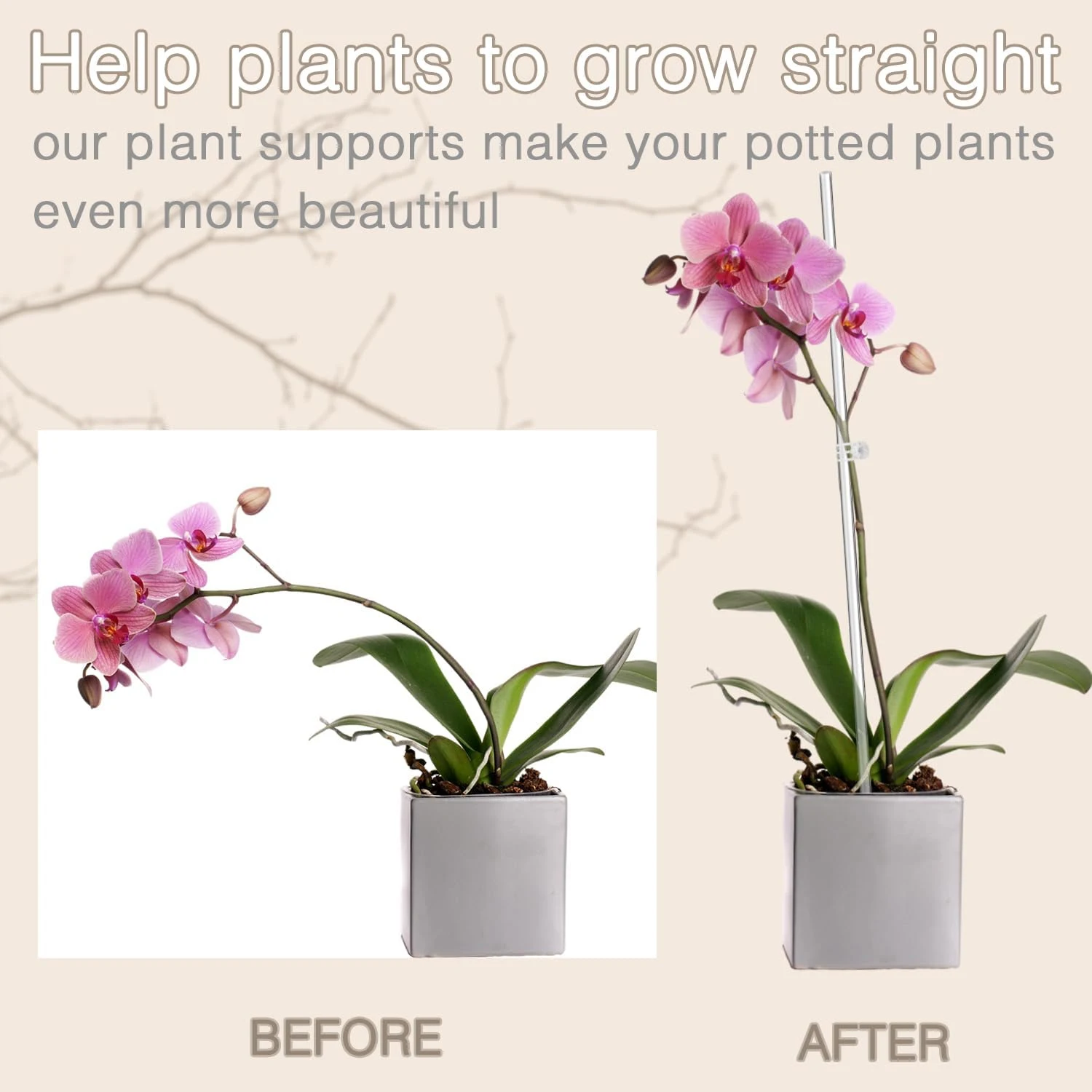 Description Picture 3 of item10/20Pcs Clear Orchid Stakes Sticks Acrylic Plant Stakes Potted Plant Support Stakes for Supporting Vines Grow Upright