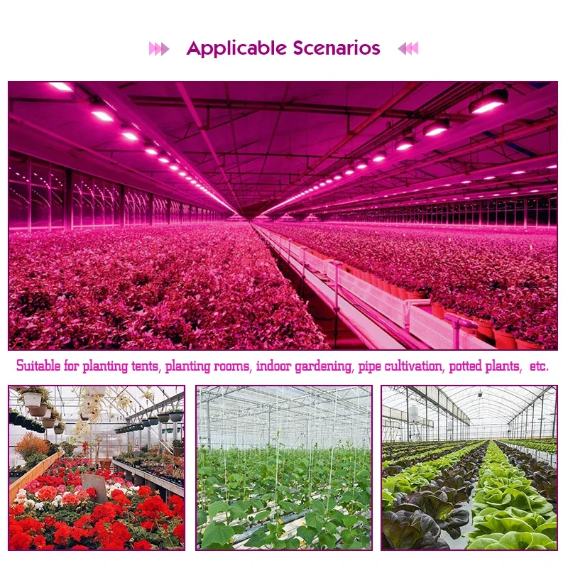 Grow Light LED Grow Lights for Indoor Plants Full Spectrum Veg Bloom 220V 50W 100W Floodlight Switch Control Plant Light Seed Starting Seed