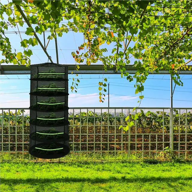 6 Rétegű Gyógynövény Szárítás Nettó Fűszer Függő Kertterület Megtakarító Száraz Állvány - Image 4