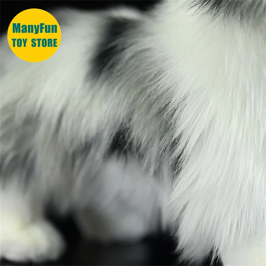 Sfb2e9ce5dbbe431fbf559687956b963el - Border Collie Gifts