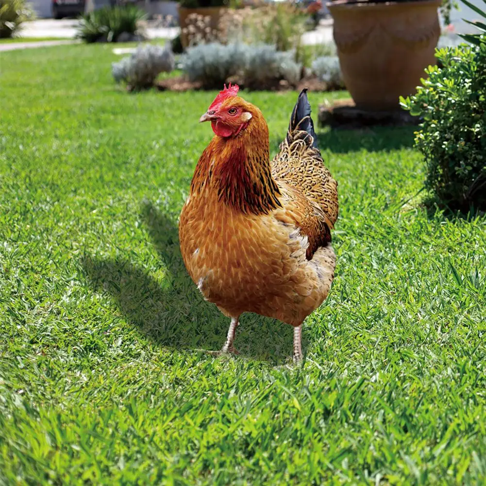 Hot！Chicken Decor Life-like Eco-friendly Vibrant Color Outdoor Yard Acrylic Rooster Ornament Rooster Ornament for Garden