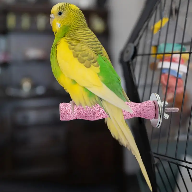 Bird Calcium Grinding Perch 3