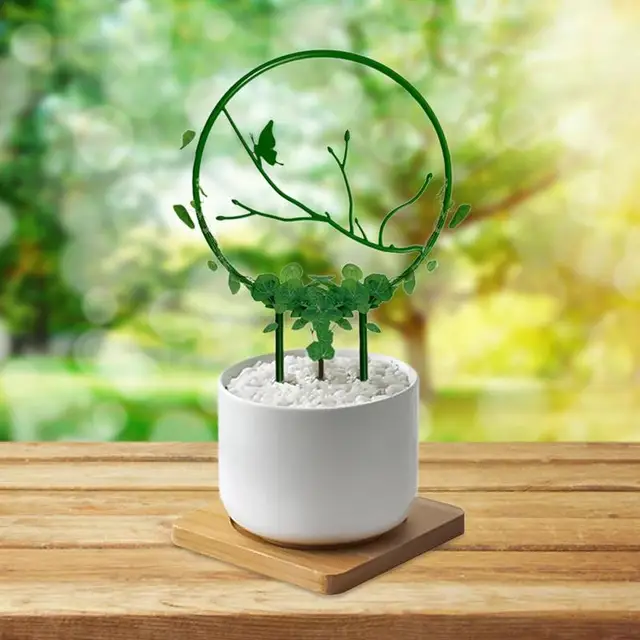 Kis Rácsos Szilárd Növényi Mászó Keret 5Db Rozsdaálló Támogatás Cserepes Virágokhoz Zöldség Szőlő Beltér - Image 5