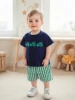 Toddler Boys 2-Piece Outfit Short Sleeve Dinosaur Print Tee with Denim Shorts Summer Set for Little Boys 1