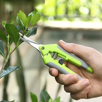 Pruning Shears 1